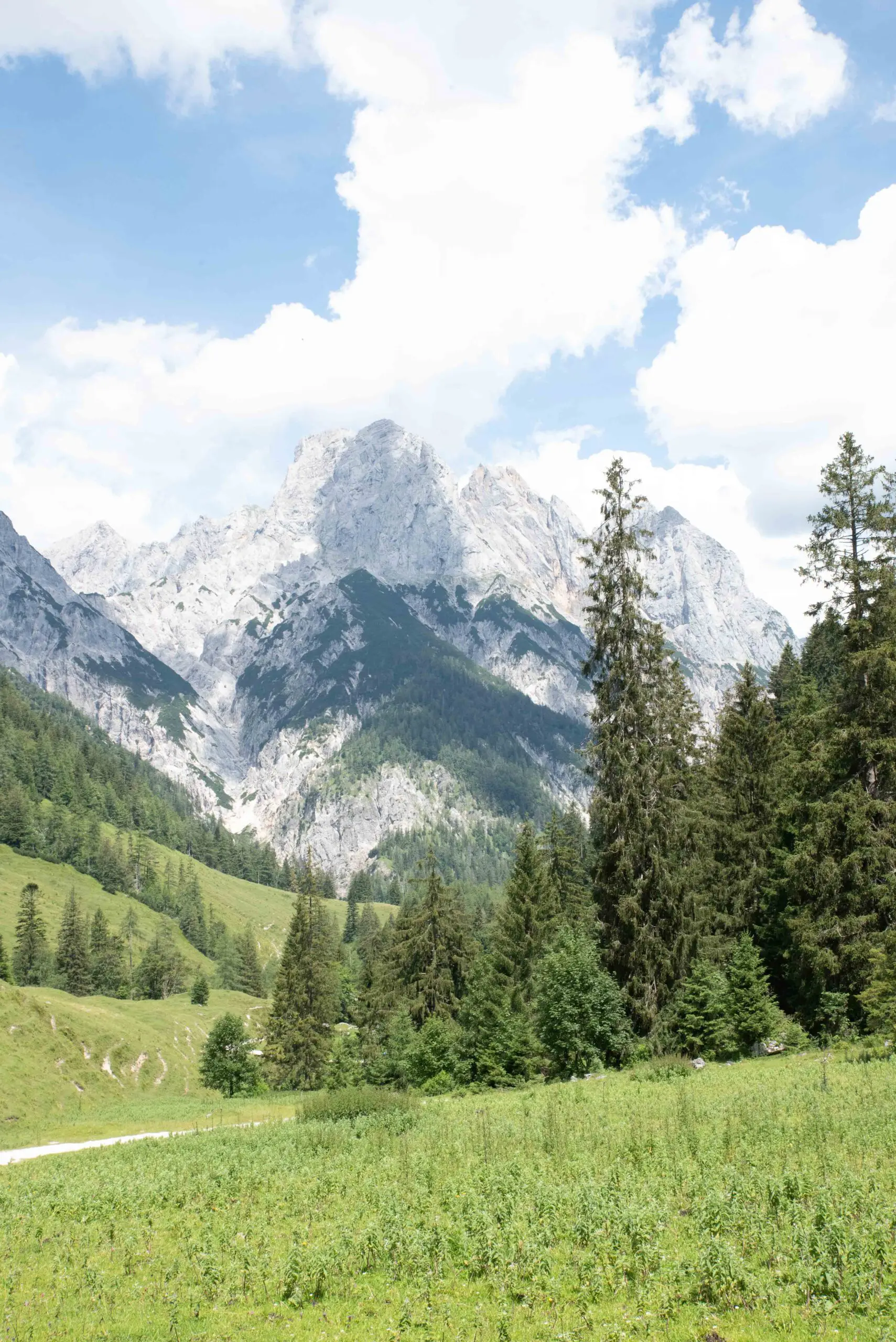 Berglandschaft an der Bindalm in den Alpen