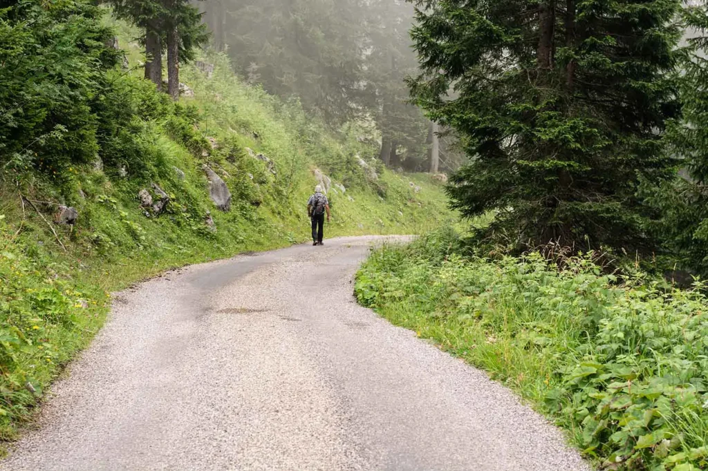 Wanderweg durch ein grünes Bergtal