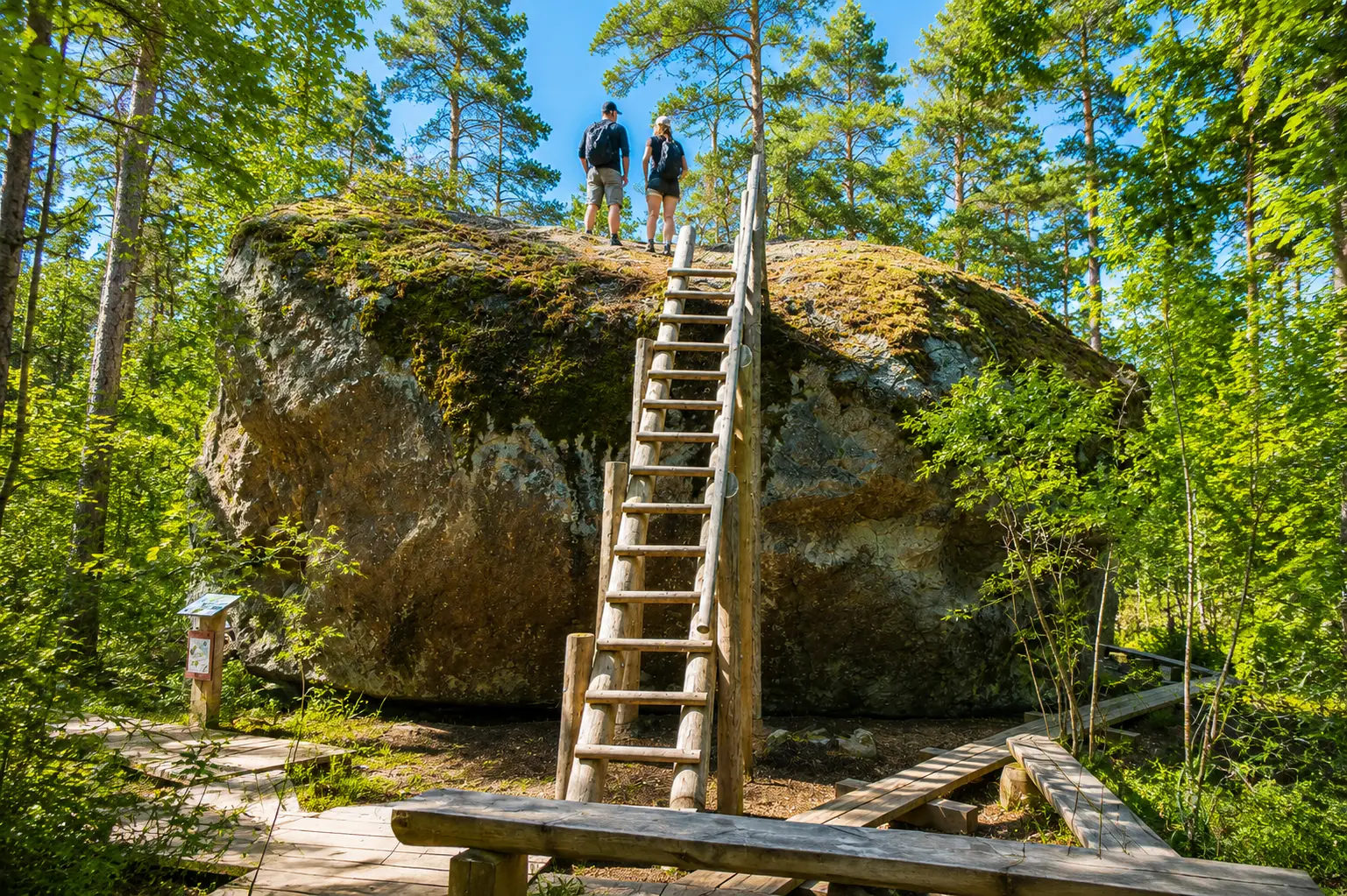 Leiter zum Majakivi-Felsen in Estland