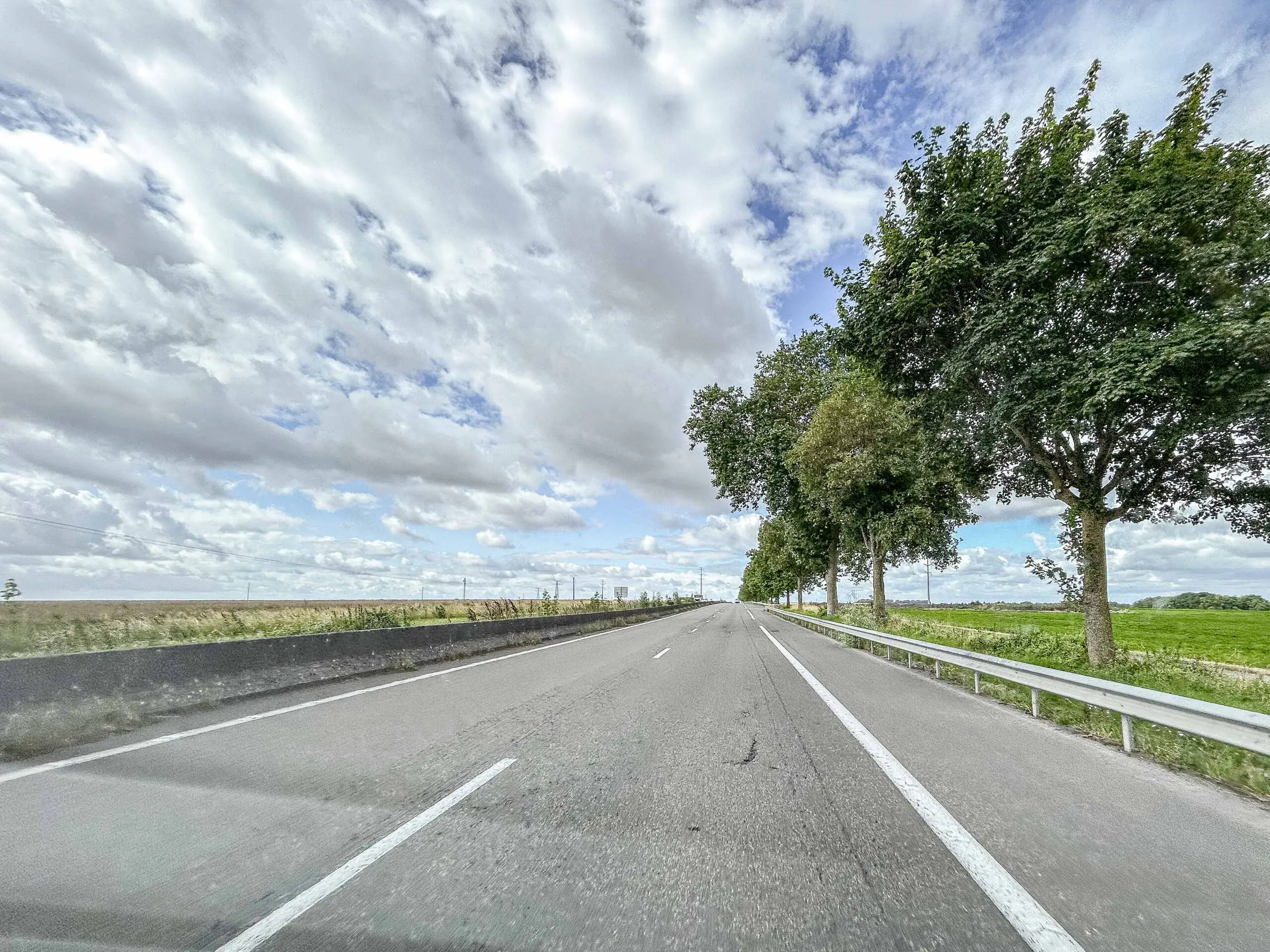 Straße mit Baum unter einem sommerlichen Himmel